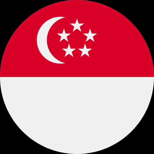 Paywho sends to Singapore